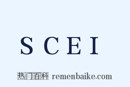 SCEI是什么意思的图片